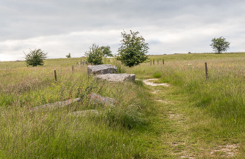 Middleton Moor Middleton Moor